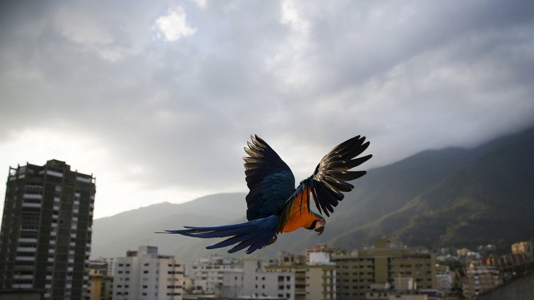 ¿Está acaso Venezuela al borde de una guerra civil? 