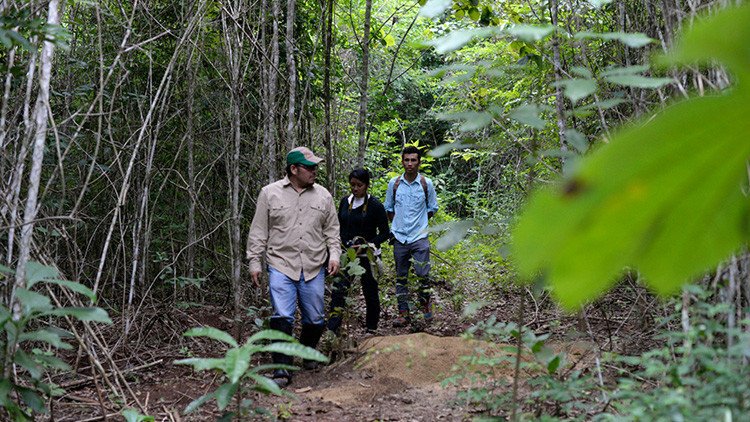 ¿Vuelve el éxodo guatemalteco? Cientos de personas huyen hacia México perseguidas por el Ejército