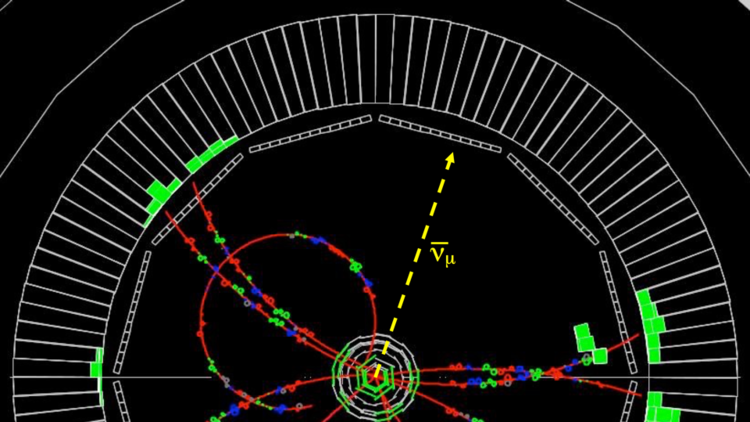 Hallan anomalías en partículas que podrían revolucionar el modelo estándar de la física