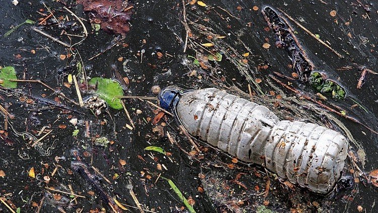 En el Pacífico flota una isla de basura del tamaño del Estado de Chihuahua... Y sigue creciendo