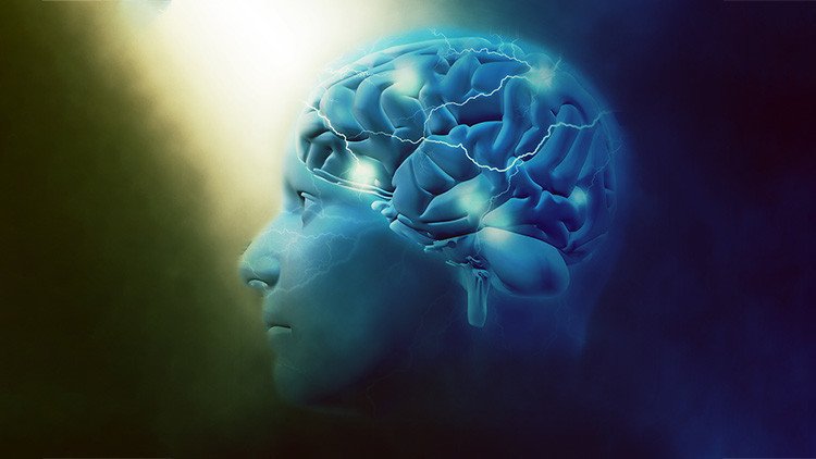 Científicos descubren un universo multidimensional en nuestro cerebro (VIDEO)