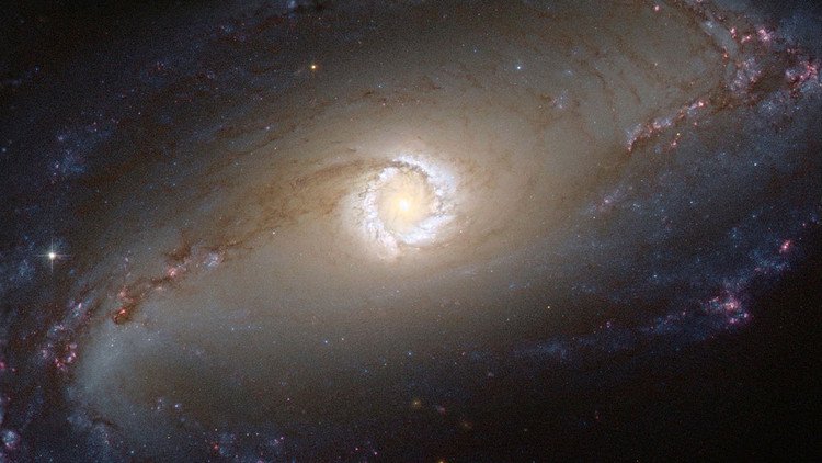 Anonymous: la NASA está a punto de anunciar el descubrimiento de vida extraterrestre (VIDEO)