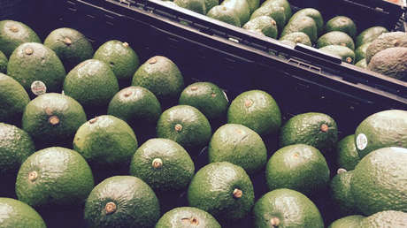 Guacamole imposible: ¿El aguacate aumenta por la escasez o por una decisión comercial?