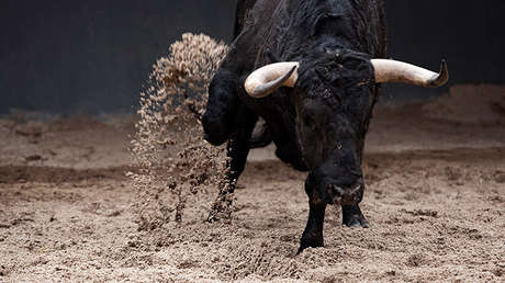 Corridas de toros dejan varios heridos durante una festividad en Perú (VIDEOS)
