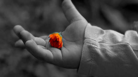 Atrocidad en Bolivia: una niña de 6 años cae en coma y muere tras ser violada por sus primos