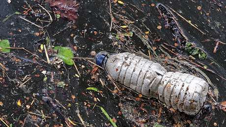 En el Pacífico flota una isla de basura del tamaño del Estado de Chihuahua... Y sigue creciendo
