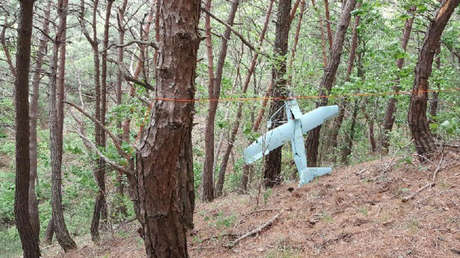 Seúl encuentra un dron norcoreano que espió el lugar donde se encuentra desplegado el THAAD