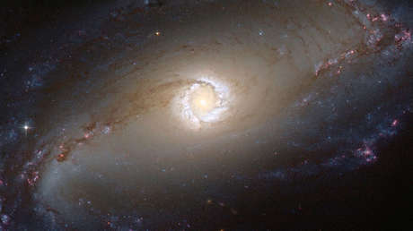 ¿Seremos testigos? Calculan cuándo y dónde se encontrará vida extraterrestre