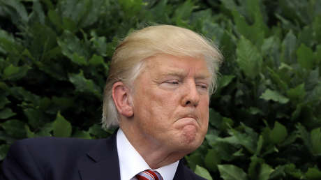 El muro de Trump podría ser 'una trampa mortal' para ecosistemas que comparten México y EE.UU.