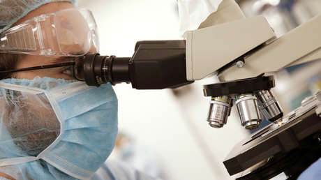 Científicos prueban en gusanos un nuevo método para alargar la vida