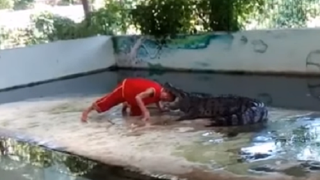 Adiestrador coloca su cabeza en la boca de un cocodrilo y pasa lo que no tenía que pasar