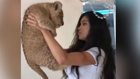 Una modelo levanta al 'Rey León', pero algo sale mal