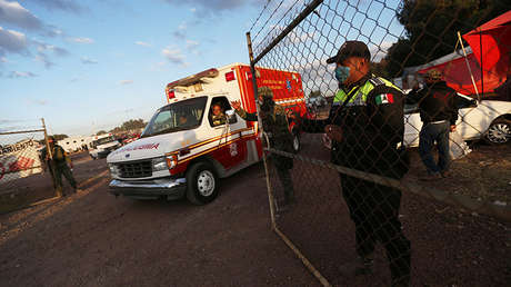 México: Un cerdo mutila y mata a su dueño porque le agredió en estado de ebriedad