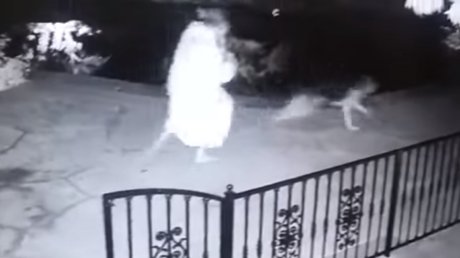 ¡Ese no era el juguete del perro!: Mujer agarra por error una serpiente de cascabel