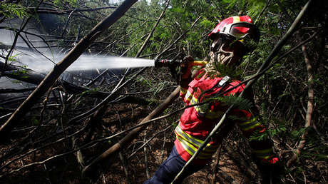 "Una noche y un día luchando": La foto viral de los bomberos portugueses que conmueve a la Red