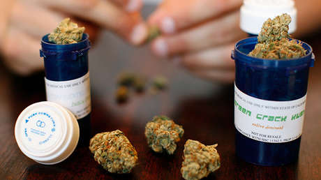 Marihuana legal: En México ya rige la autorización para producir esa droga con fines medicinales