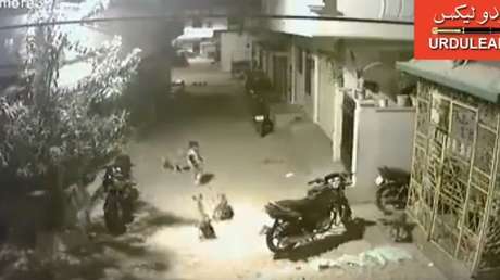 Un niño de cinco años defiende a su amiga ante perros callejeros 