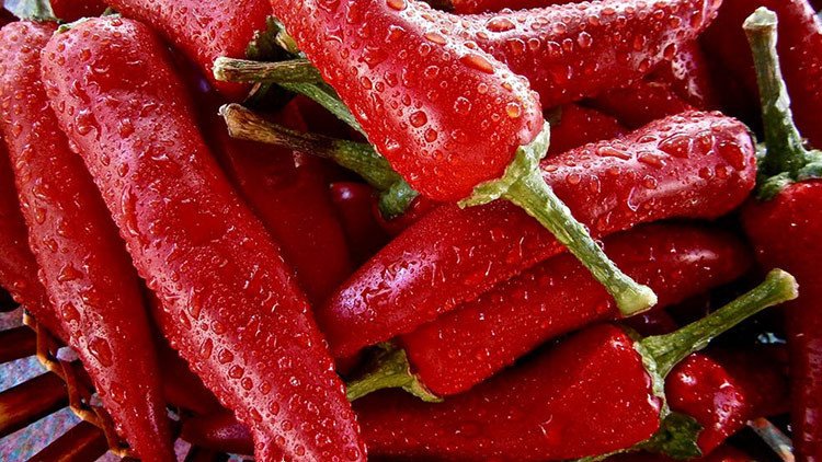 Solo apto para dragones: Crean por accidente el chile que puede matarle 