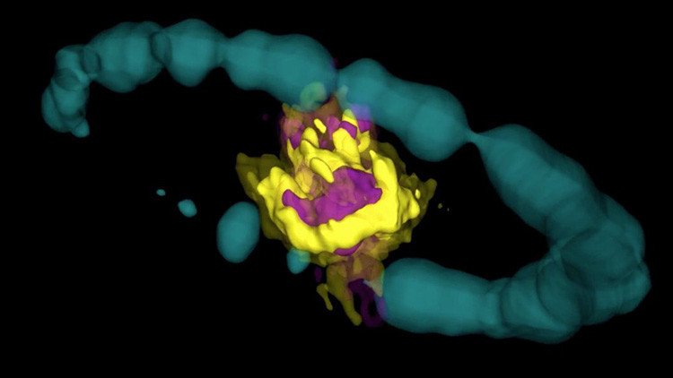 VIDEO: Esto es lo que pasa en el centro de una estrella cuando explota