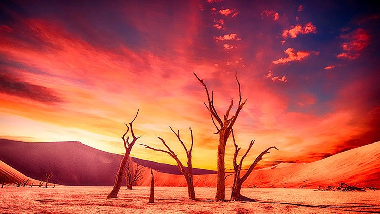 ¿Qué será de la humanidad? La Tierra agotará sus recursos anuales en cuestión de días