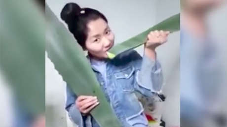 VIDEO: Come una planta durante una transmisión en vivo y descubre que es venenosa