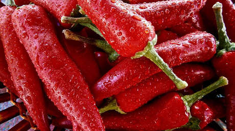 Solo apto para dragones: Crean por accidente el chile que puede matarle 