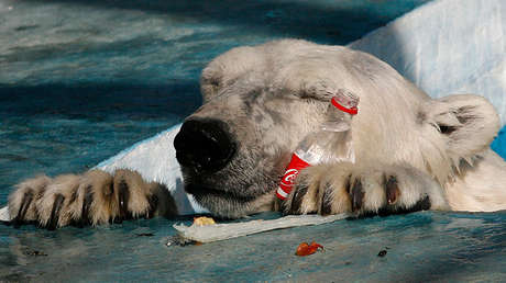 Este impresionante mapa revela el alcance de la contaminación por plástico en el mundo