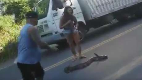 Una mujer atrapa a una anaconda que bloqueaba el tráfico en Brasil