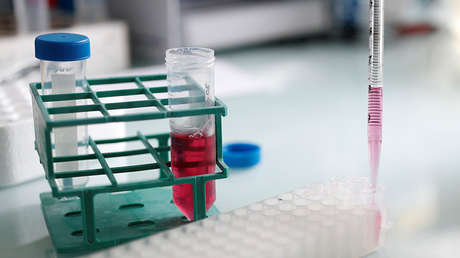 Director de la OMS: "La próxima pandemia mundial costará billones de dólares a la economía"