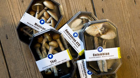 24 líderes religiosos toman una potente droga psicodélica para un experimento científico