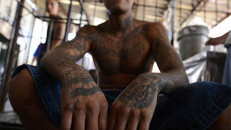 Un miembro de la MS-13 filma la tortura y asesinato de una adolescente