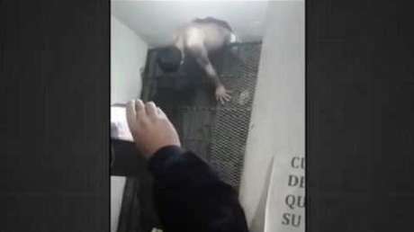 Un preso intenta escapar y queda atrapado en las rejas de su celda en Argentina