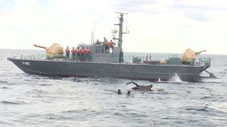 VIDEO: El largo y milagroso rescate de un elefante en alta mar por la Armada de Sri Lanka