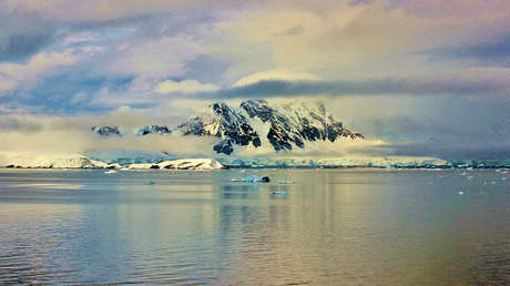 FOTOS: Biólogos descifran la "decoración navideña del infierno" encontrada en la Antártida