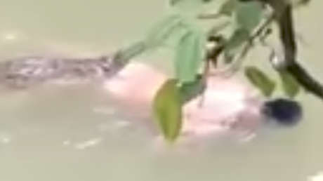 FUERTE VIDEO: Un cocodrilo devuelve el cadáver de un hombre tras el hechizo de un brujo 