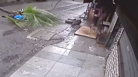 Una famosa presentadora de la India muere luego de ser aplastada por una palmera (FUERTE VIDEO)