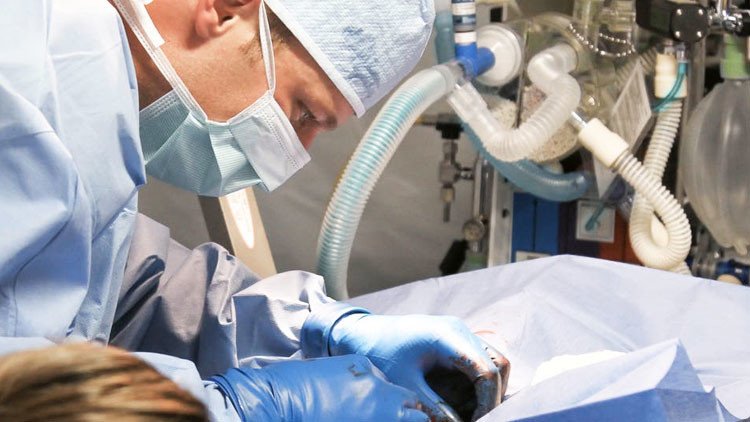 Hallan un medicamento que previene el cáncer y el infarto