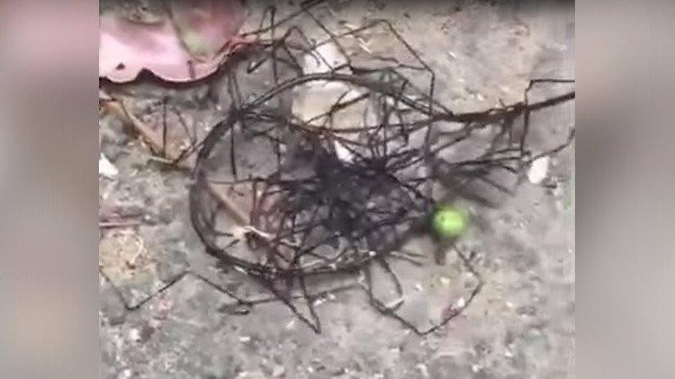 "Como un extraterrestre perdido en la Tierra": Graban un espeluznante ser desconocido (VIDEO)