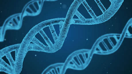 Logran borrar por primera vez una grave enfermedad genética de un embrión humano 