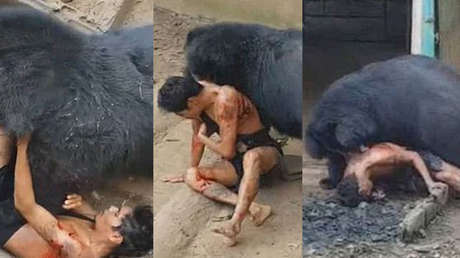 Quiso burlarse de un hambriento oso y casi termina devorado [FUERTE VIDEO]
