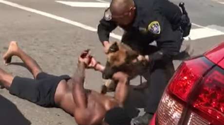 FUERTES IMÁGENES: Arrestan a un hombre y el perro policía se descontrola