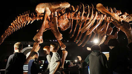 El dinosaurio hallado en Argentina es el mayor del que se tiene constancia