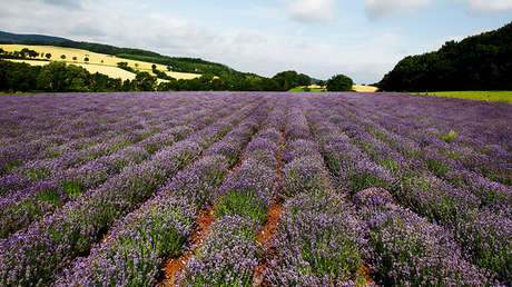 ¿Es capaz de encontrar cuerpos femeninos en estas fotos?