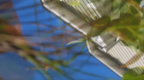 Hallan un móvil en su jardín y descubren la inverosímil manera en que apareció ahí