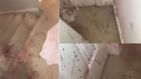 "Sangre por todos los lados": la escena de terror que halló una familia al entrar en su casa