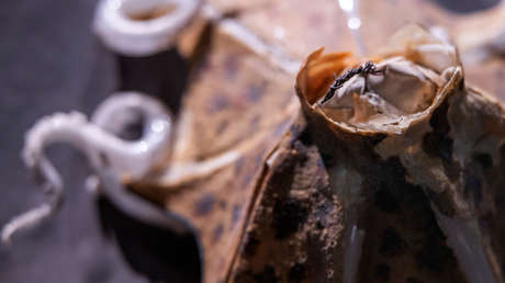 ¿Qué es eso? Una playa británica sufre una 'invasión alienígena' (FOTO)