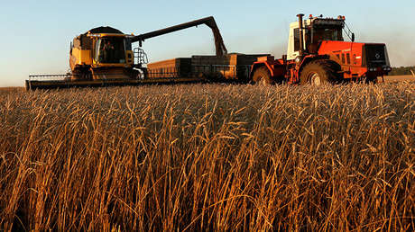 Soy extranjero, ¿cómo puedo abrir una granja en Rusia?
