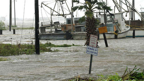Más de 300 caimanes podrían escapar de una reserva en Texas debido a las inundaciones