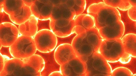  Hallan unos peligrosos parásitos en el hígado de una antigua momia 