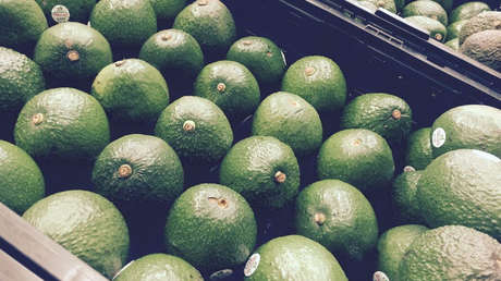 A mayor demanda, más delincuencia: Robos masivos de aguacates para venderlos por Facebook